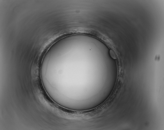 X0000116830012200912241236