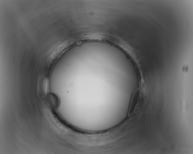 X0000116830013200912241236