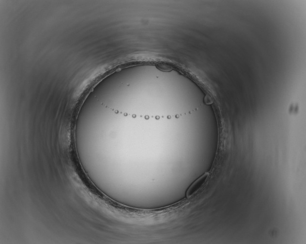X0000116830015200912241236