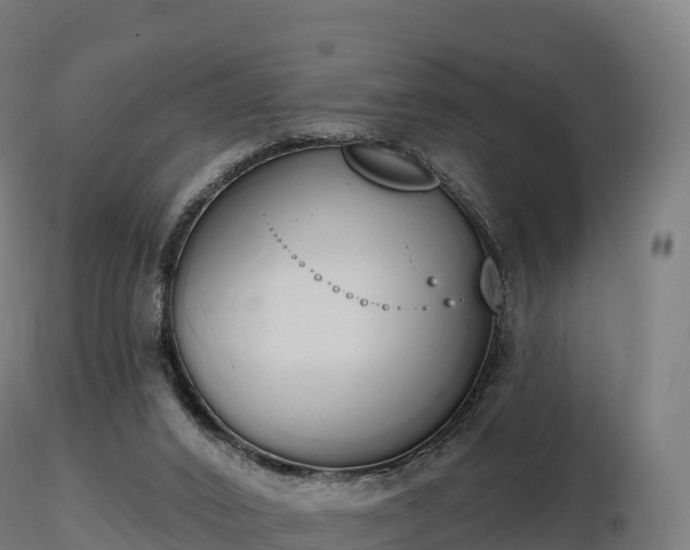 X0000116830016200912241236
