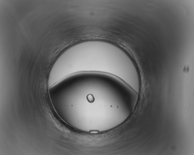 X0000116830017200912241236