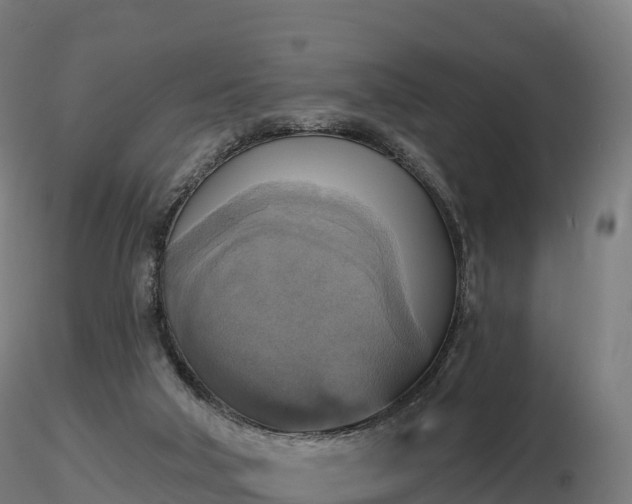 X0000116830018200912241236
