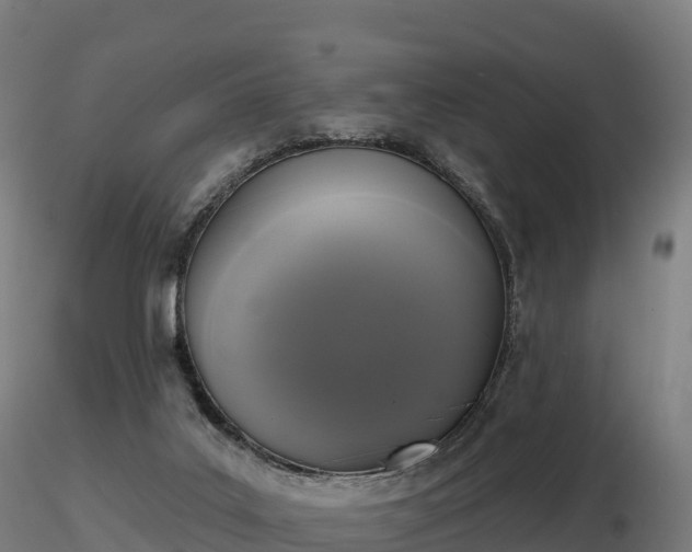 X0000116830019200912241236