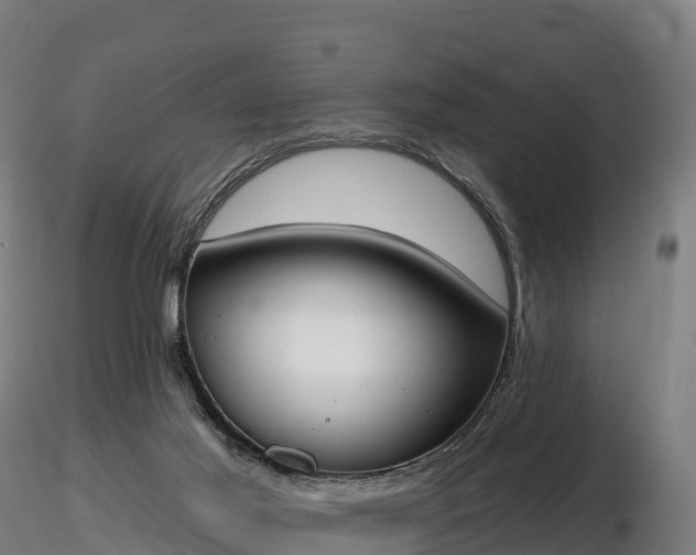X0000116830021200912241236