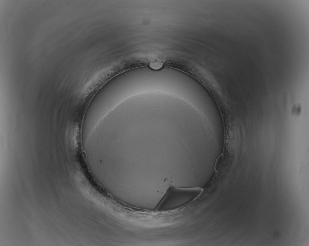 X0000116830023200912241236