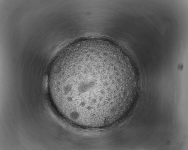 X0000116830024200912241236