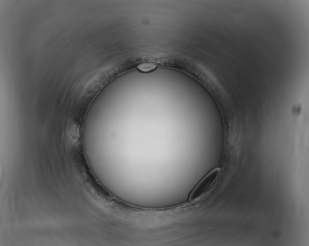 X0000116830025200912241236