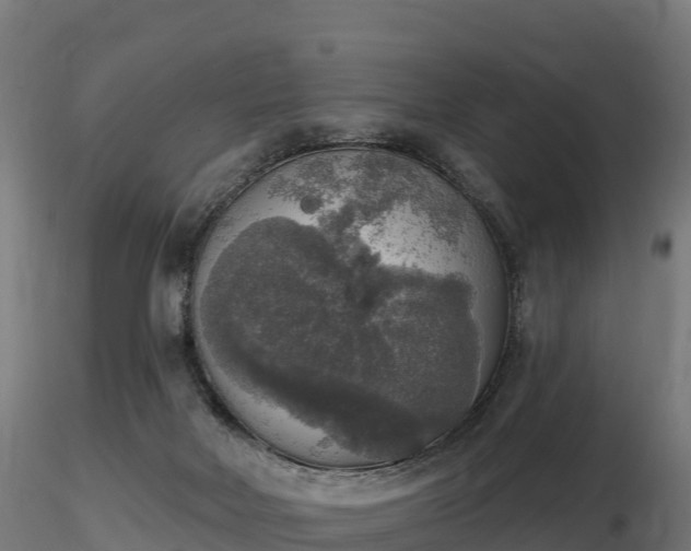 X0000116830026200912241236