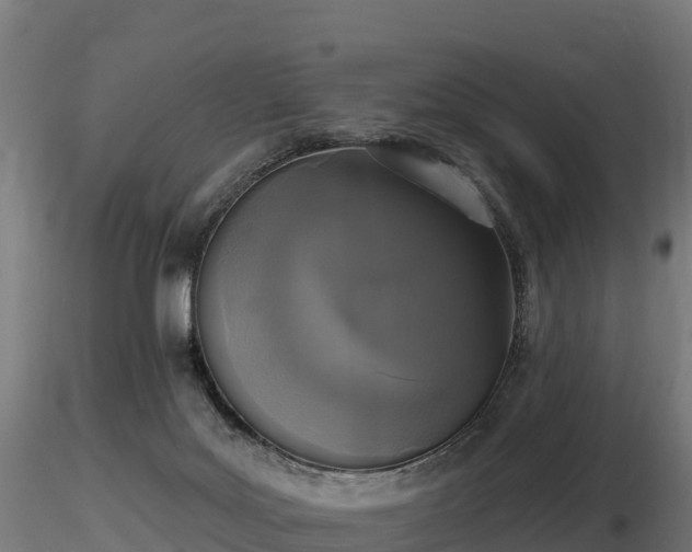 X0000116830027200912241236