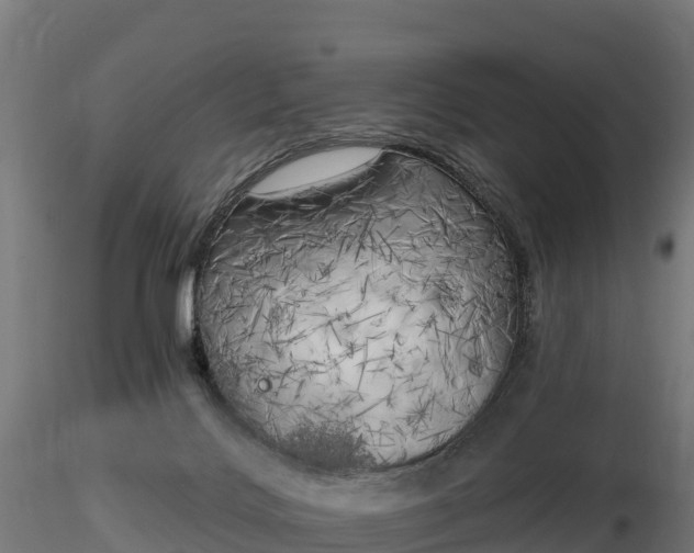X0000116830028200912241236
