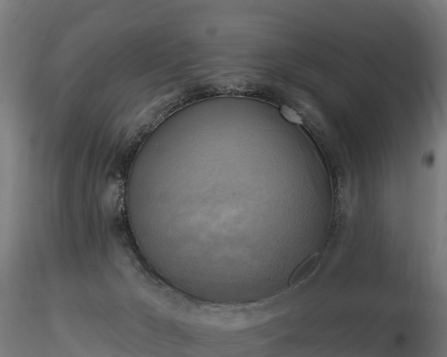 X0000116830029200912241236