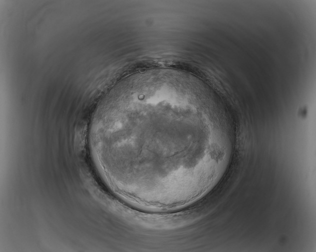 X0000116830030200912241236
