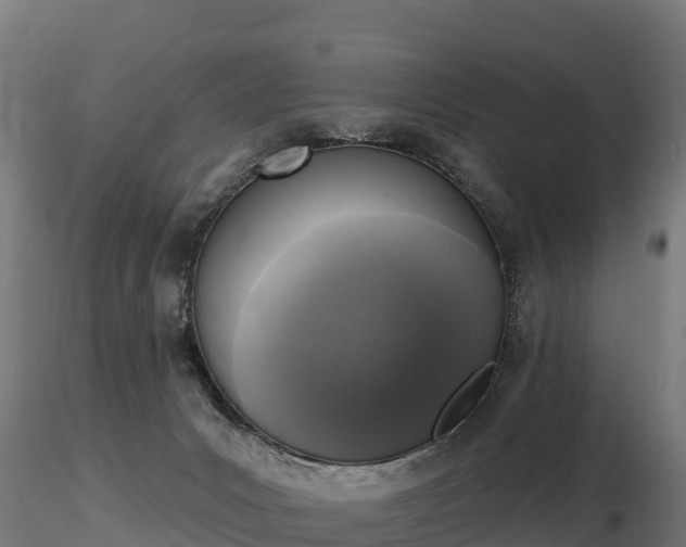 X0000116830031200912241236