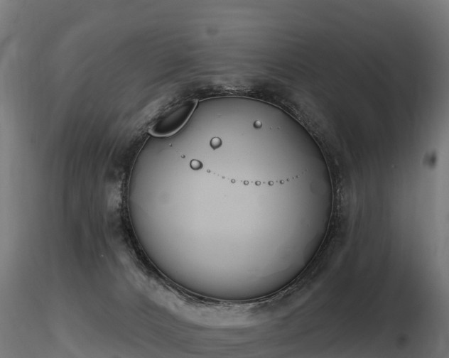X0000116830032200912241236