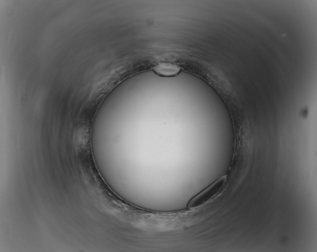 X0000116830033200912241236