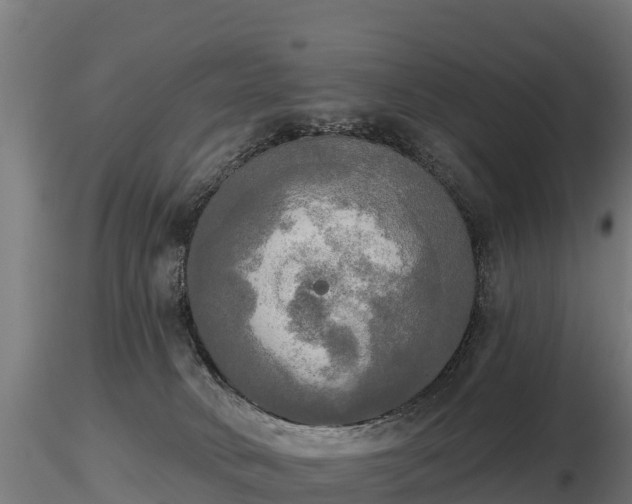 X0000116830034200912241236
