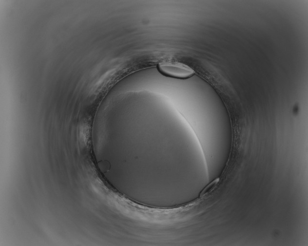X0000116830035200912241236