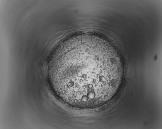 X0000116830036200912241236