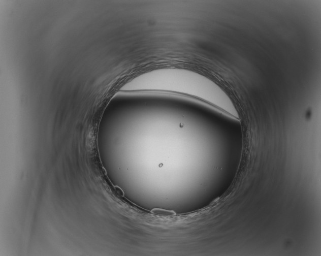 X0000116830037200912241236