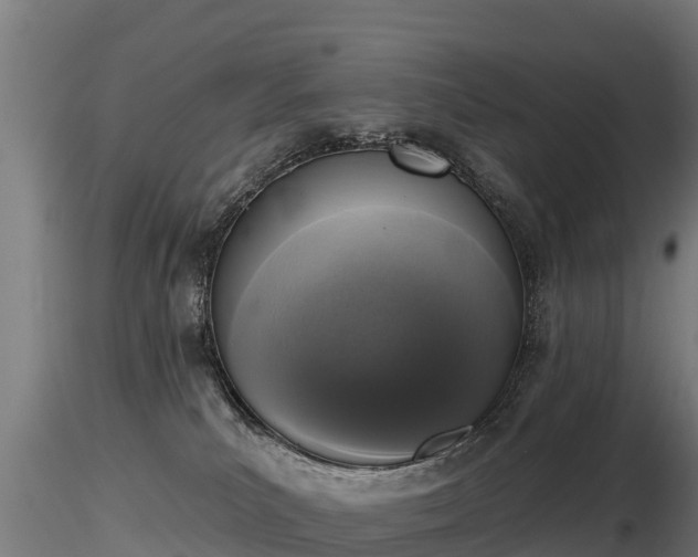 X0000116830039200912241236
