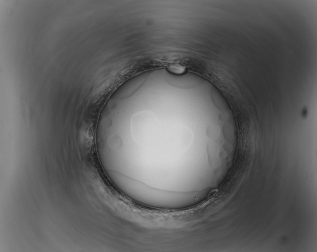 X0000116830040200912241236
