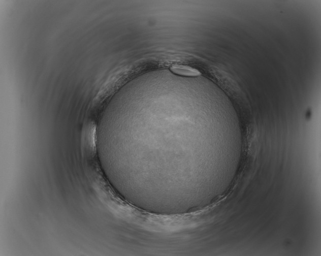 X0000116830041200912241236