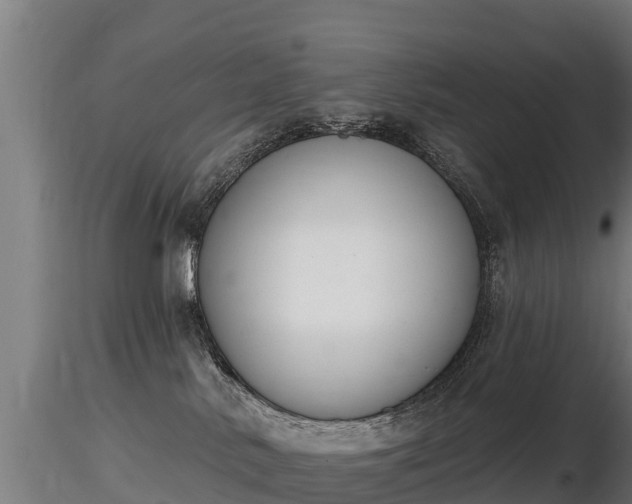 X0000116830042200912241236