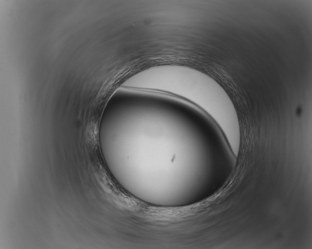 X0000116830045200912241236