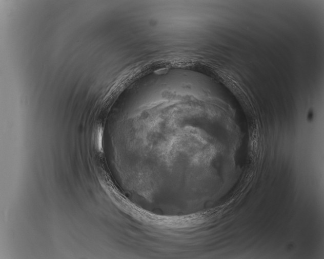 X0000116830046200912241236
