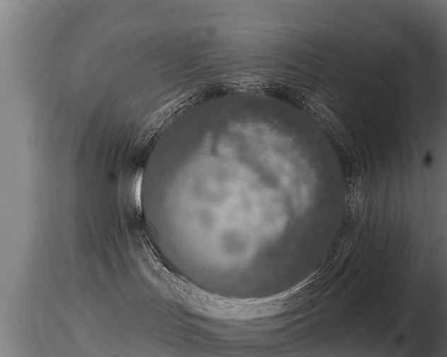 X0000116830047200912241236