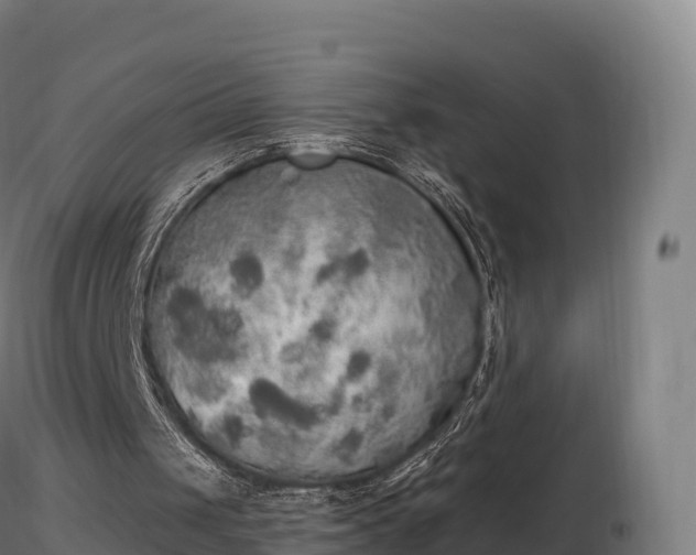 X0000116830049200912241235