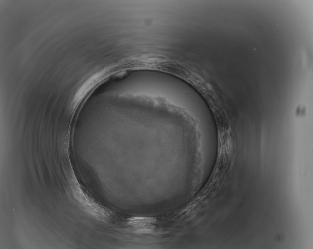 X0000116830051200912241235