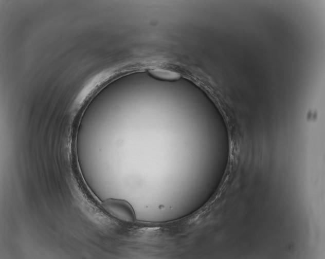 X0000116830054200912241235