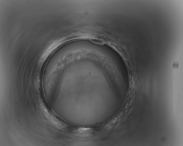 X0000116830055200912241235