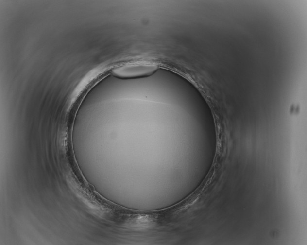 X0000116830056200912241235
