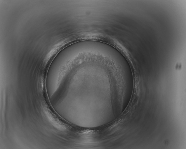 X0000116830059200912241235