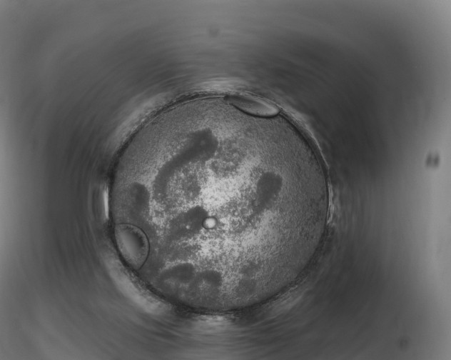 X0000116830061200912241235