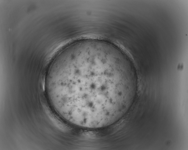 X0000116830062200912241235
