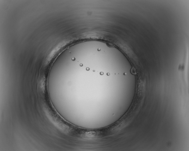 X0000116830064200912241235