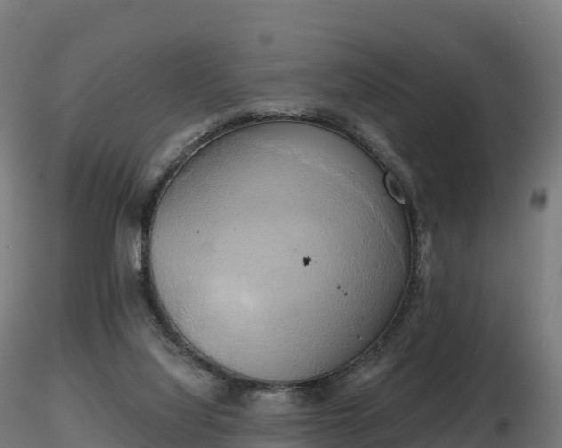 X0000116830068200912241235