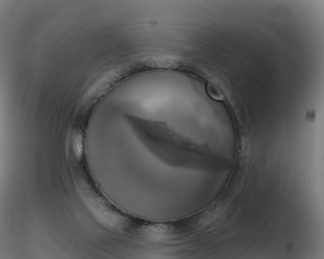 X0000116830069200912241235