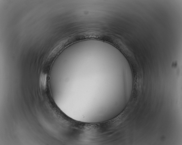 X0000116830070200912241235