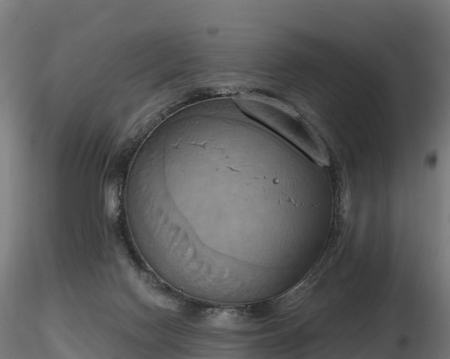 X0000116830074200912241235