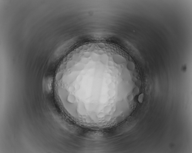 X0000116830075200912241235