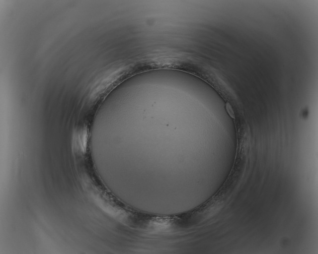 X0000116830076200912241235