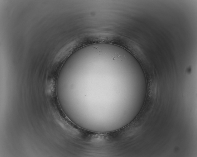 X0000116830077200912241235