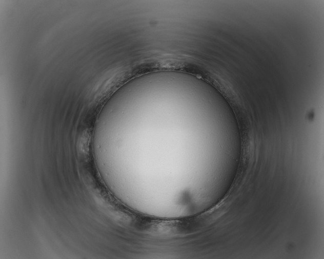 X0000116830078200912241235