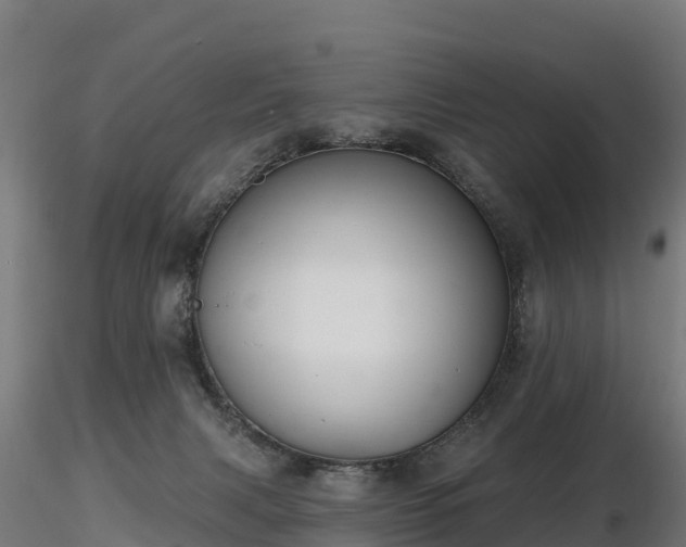 X0000116830079200912241235
