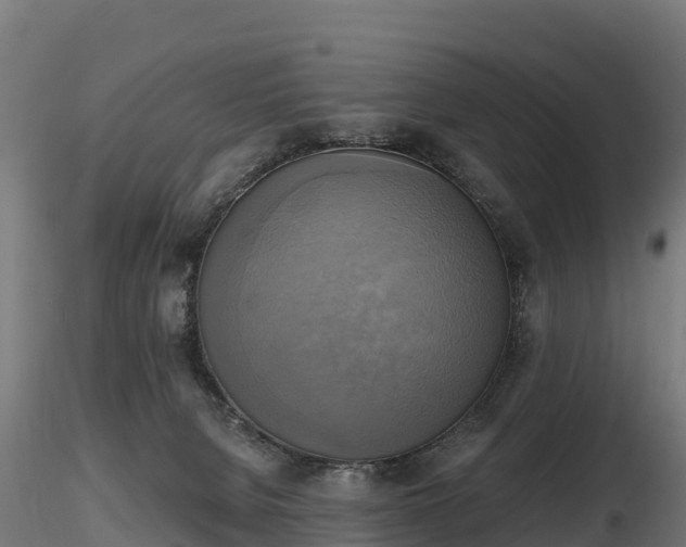 X0000116830080200912241235