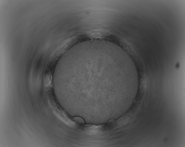 X0000116830081200912241235